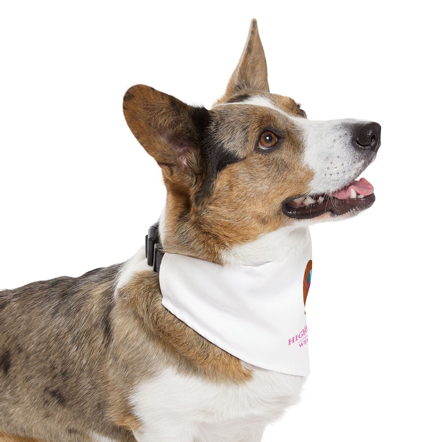 HW Pet Bandana Collar | Cute Pet Accessory - Highlighter Wednesday