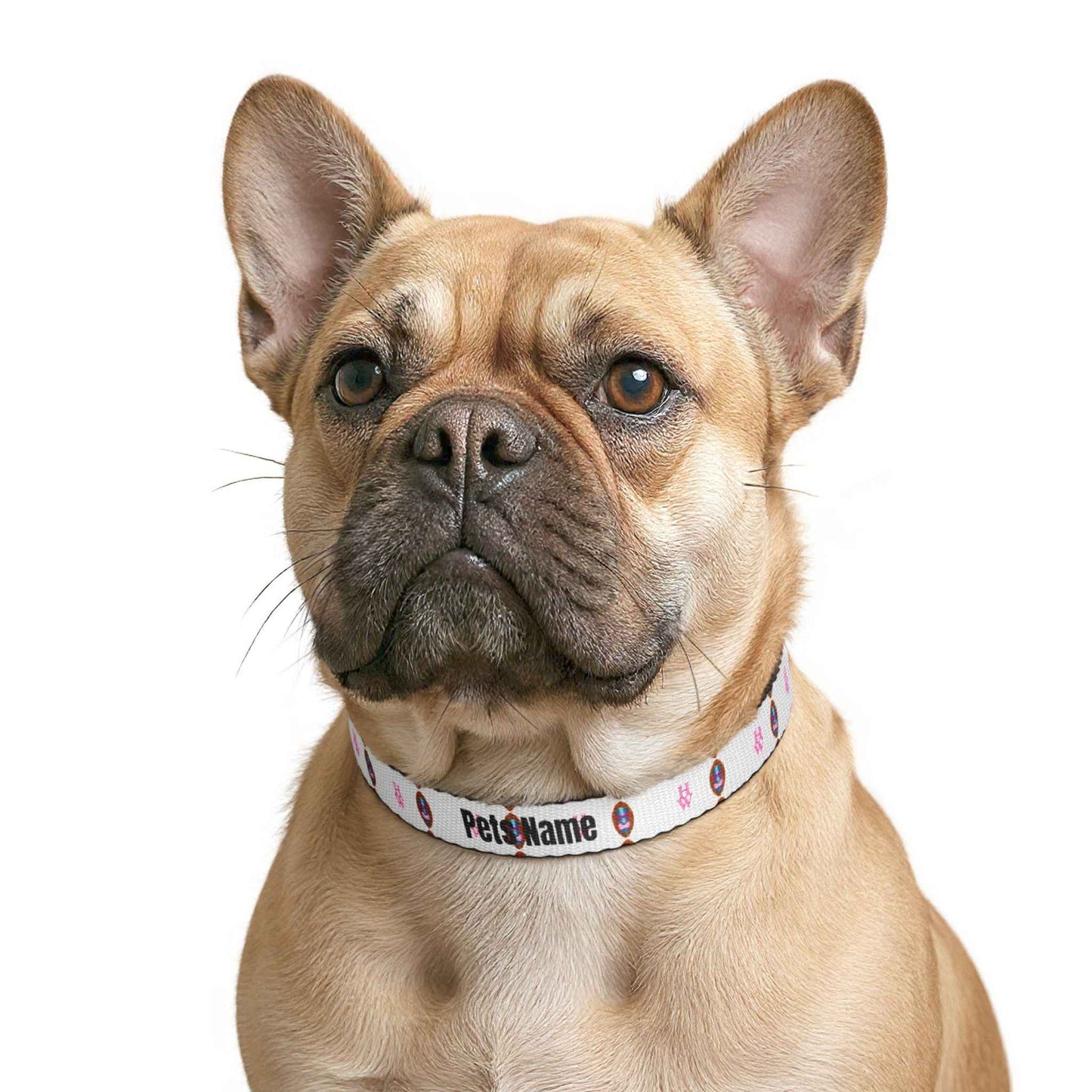 HW PawID Personalized Dog Collar