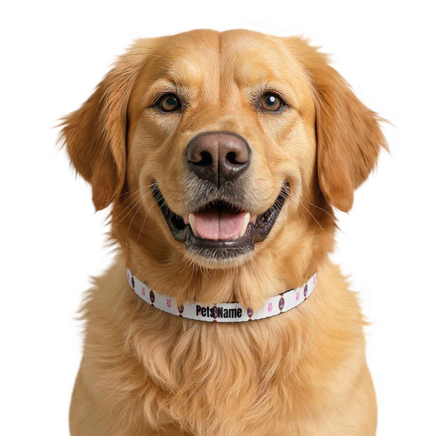HW PawID Personalized Dog Collar