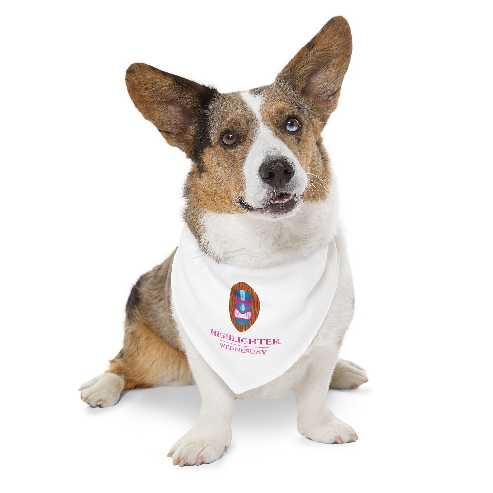 HW Pet Bandana Collar | Cute Pet Accessory - Highlighter Wednesday